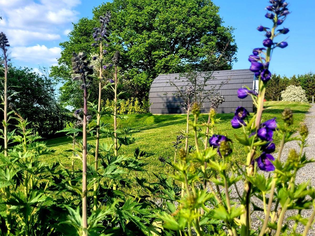 Odli Glamping - Deri Apartment Welshpool Exterior foto